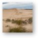 Silver Lake Sand Dunes Panoramic Metal Print