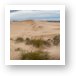 Silver Lake Sand Dunes Panoramic Art Print