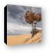 Lonely Tree at Silver Lake Sand Dunes Canvas Print