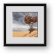 Buy Framed Print
