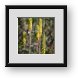 Buy Framed Print