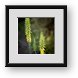 Buy Framed Print