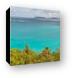 Trunk Bay Panoramic Canvas Print