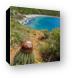 Turk's Head Cactus overlooking Blue Cobblestone Beach along Ram Head Trail Canvas Print