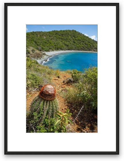 Turk's Head Cactus overlooking Blue Cobblestone Beach along Ram Head Trail Framed Fine Art Print