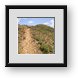 Buy Framed Print