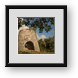 Buy Framed Print