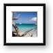 Dead trees due to eroding beach at Cinnamon Bay Framed Print