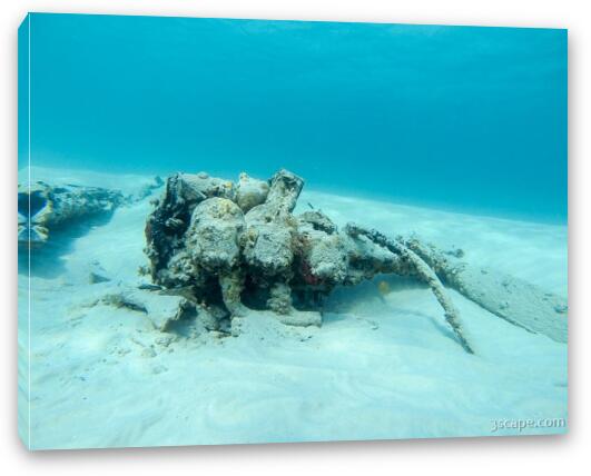 Wreckage of crashed Cessna in Peter Bay Fine Art Canvas Print