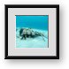 Buy Framed Print
