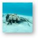Wreckage of crashed Cessna in Peter Bay Metal Print