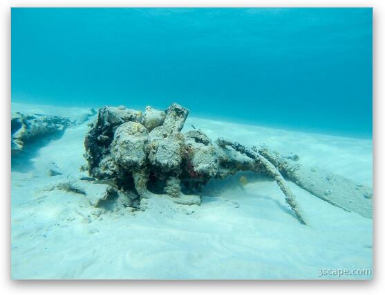 Wreckage of crashed Cessna in Peter Bay Fine Art Print