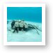 Wreckage of crashed Cessna in Peter Bay Art Print