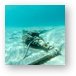 Wreckage of crashed Cessna in Peter Bay Metal Print