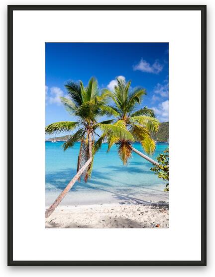 Maho Bay Palms Framed Fine Art Print