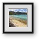 Buy Framed Print