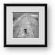 Buy Framed Print