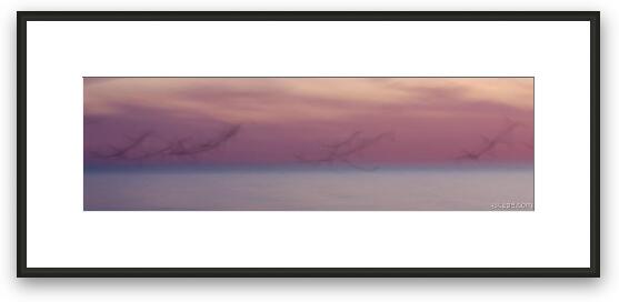 Long Exposure Flying Birds at Beach Panoramic Framed Fine Art Print
