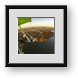 Buy Framed Print