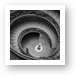 Famous Bramante Spiral Staircase Black and White Art Print