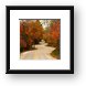 Jens Jensen Winding Road (Curvy Fall) Framed Print