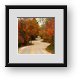 Buy Framed Print