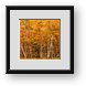 Buy Framed Print