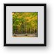 Buy Framed Print
