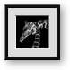 Buy Framed Print