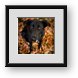 Buy Framed Print