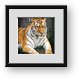 Buy Framed Print