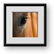 Buy Framed Print