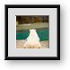 Buy Framed Print