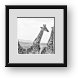 Buy Framed Print