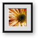 Buy Framed Print