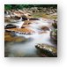 Buy Metal Print