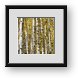 Buy Framed Print