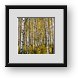 Buy Framed Print