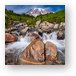 Buy Metal Print