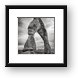 Delicate Arch Black and White Framed Print