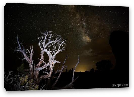 Milky Way over Arches National Park Fine Art Canvas Print