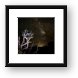 Milky Way over Arches National Park Framed Print