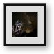 Buy Framed Print
