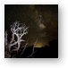 Milky Way over Arches National Park Metal Print