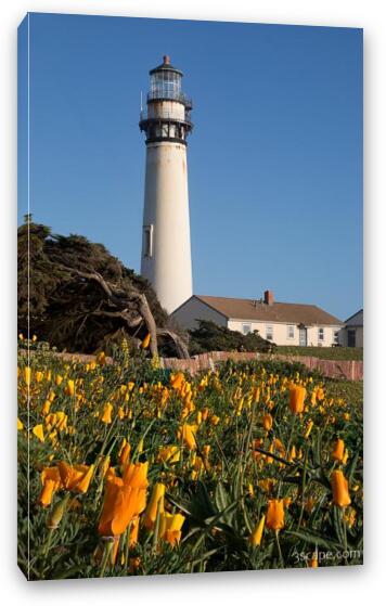 Pigeon Point Lighthouse and California Poppies Fine Art Canvas Print