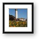 Pigeon Point Lighthouse and California Poppies Framed Print