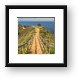 Path to Muir Beach Overlook Framed Print
