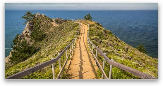Path to Muir Beach Overlook Fine Art Print