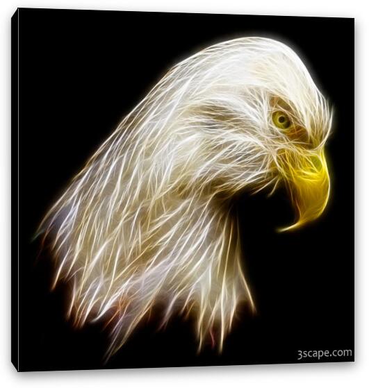 Bald Eagle Fractal Fine Art Canvas Print