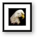 Bald Eagle Fractal Framed Print